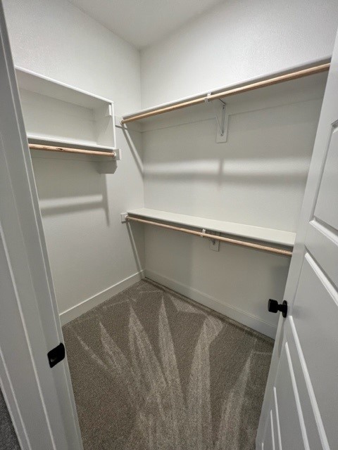 Aurora - Residential Lease