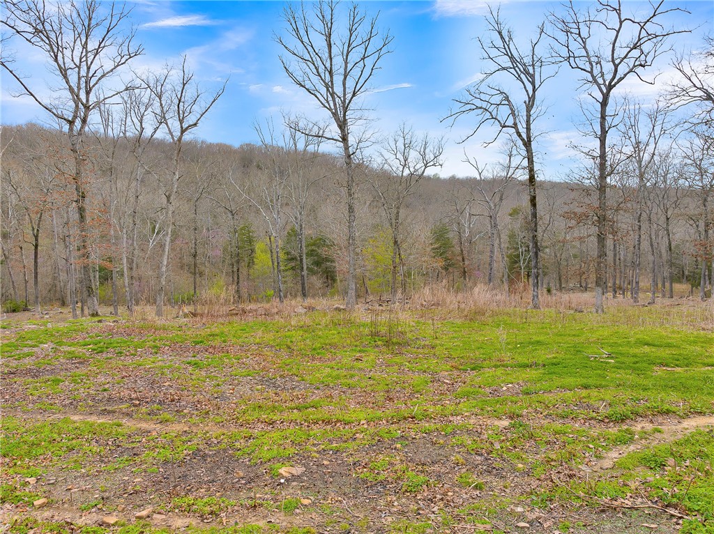 Chestnut Farms Sub - Residential