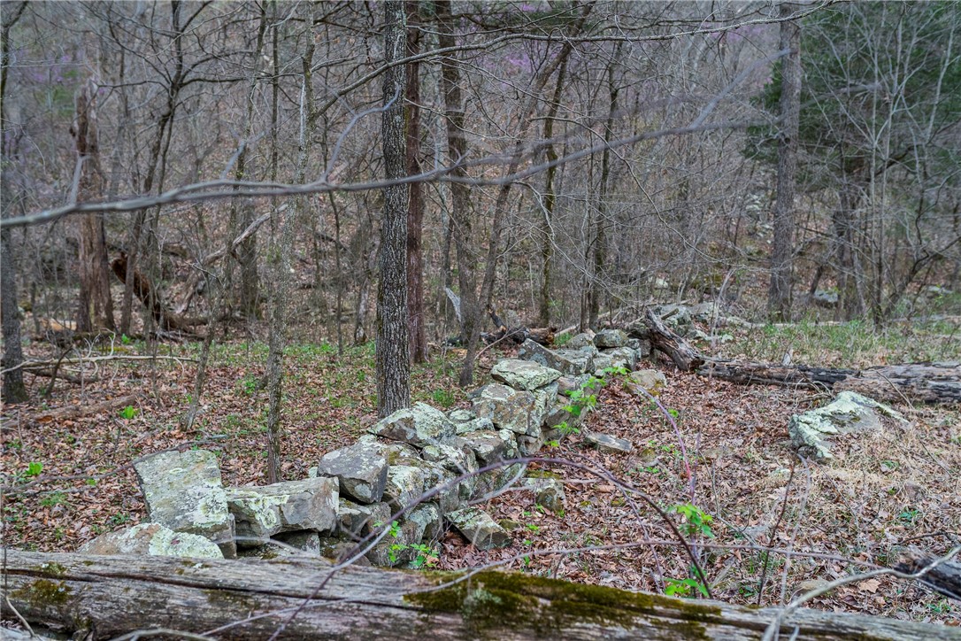 Chestnut Farms Sub - Residential