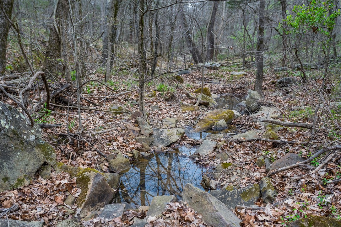 Chestnut Farms Sub - Residential