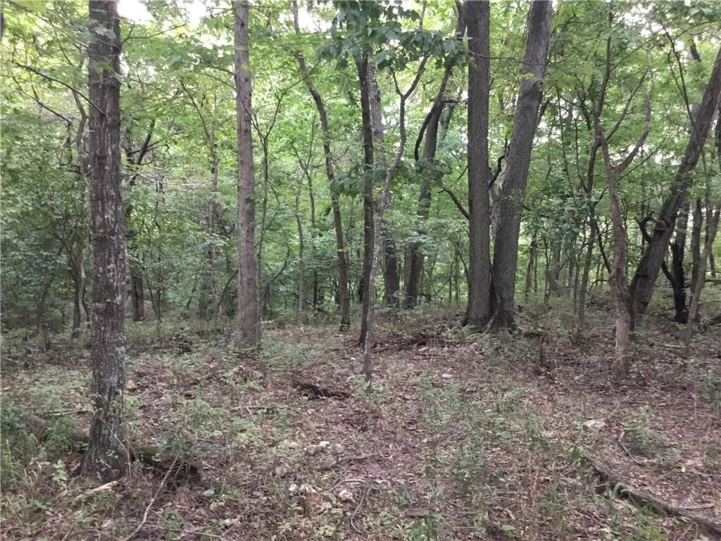 Posy Mountain Ranch Unit 10 Rurban - Land