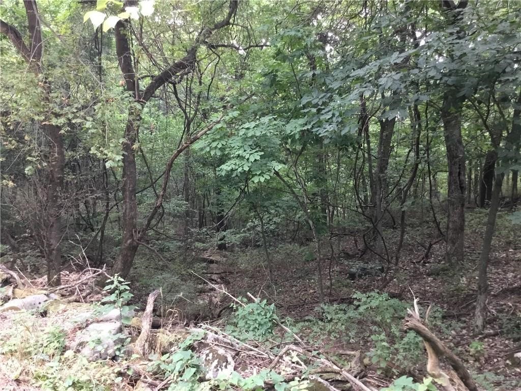 Posy Mountain Ranch Unit 10 Rurban - Land