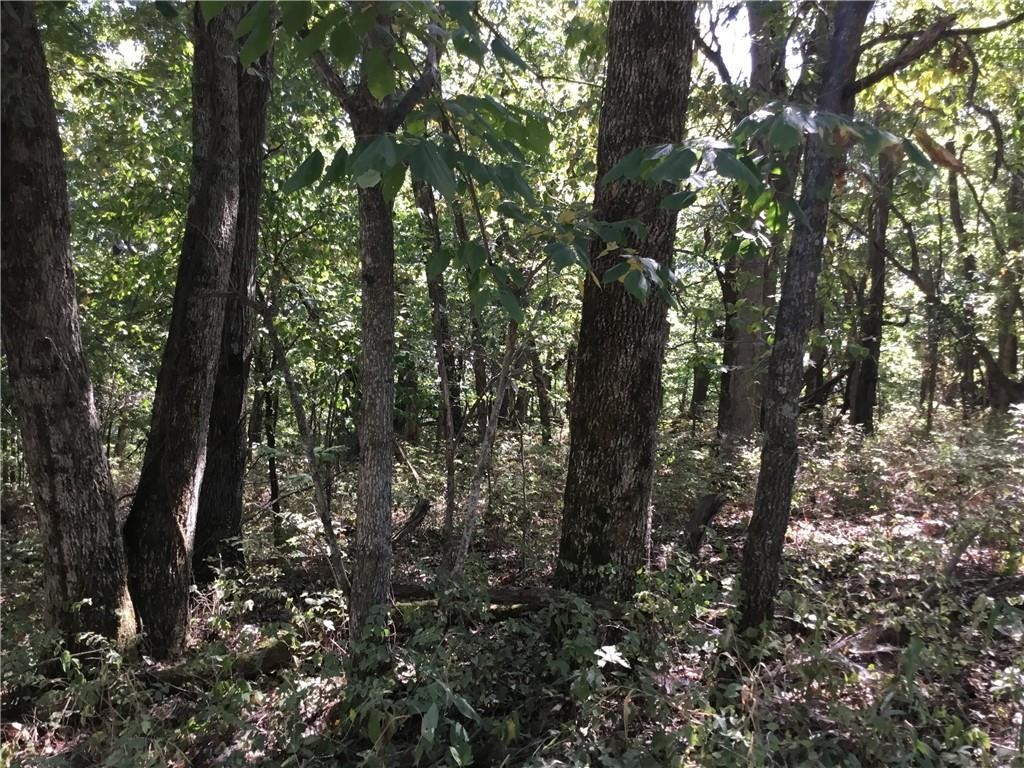 Posy Mountain Ranch Unit 10 Rurban - Land