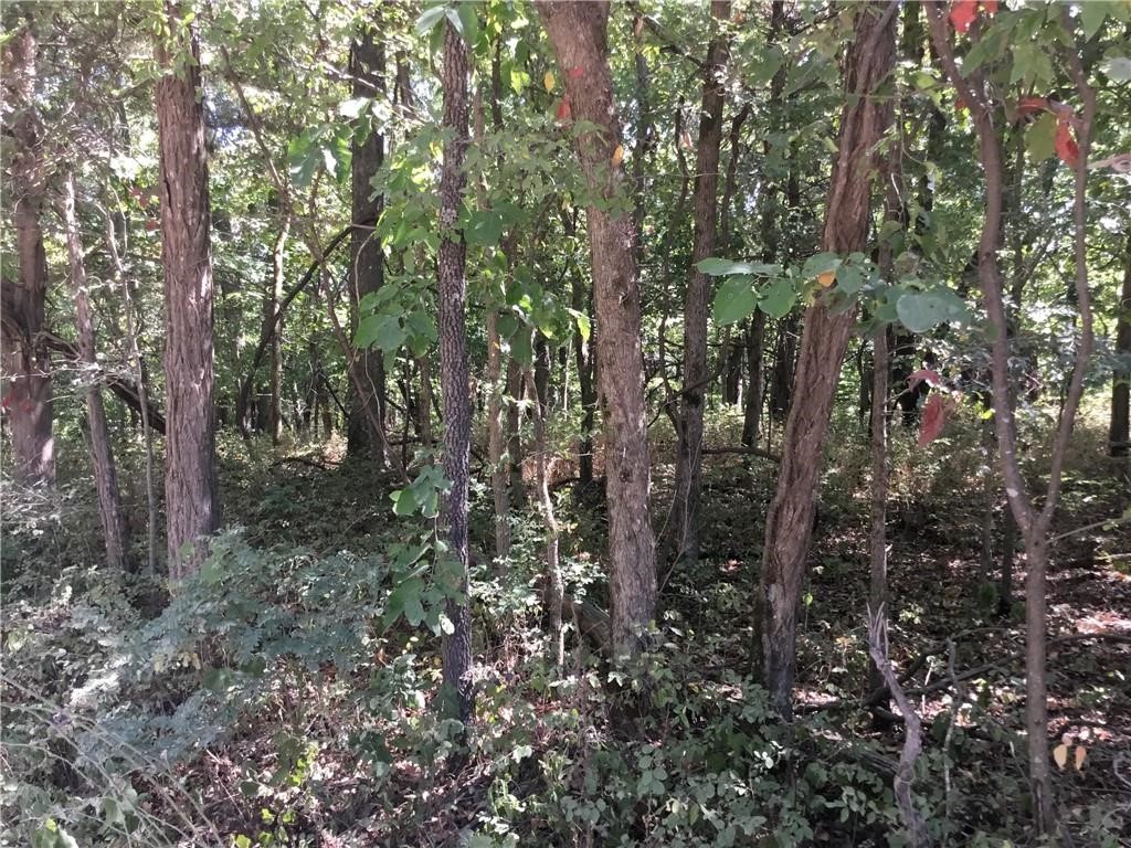 Posy Mountain Ranch Unit 10 Rurban - Land