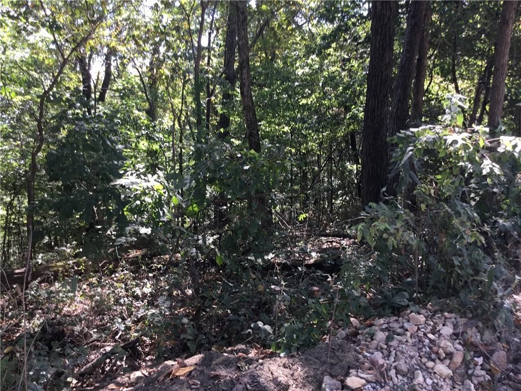 Posy Mountain Ranch Unit 10 Rurban - Land