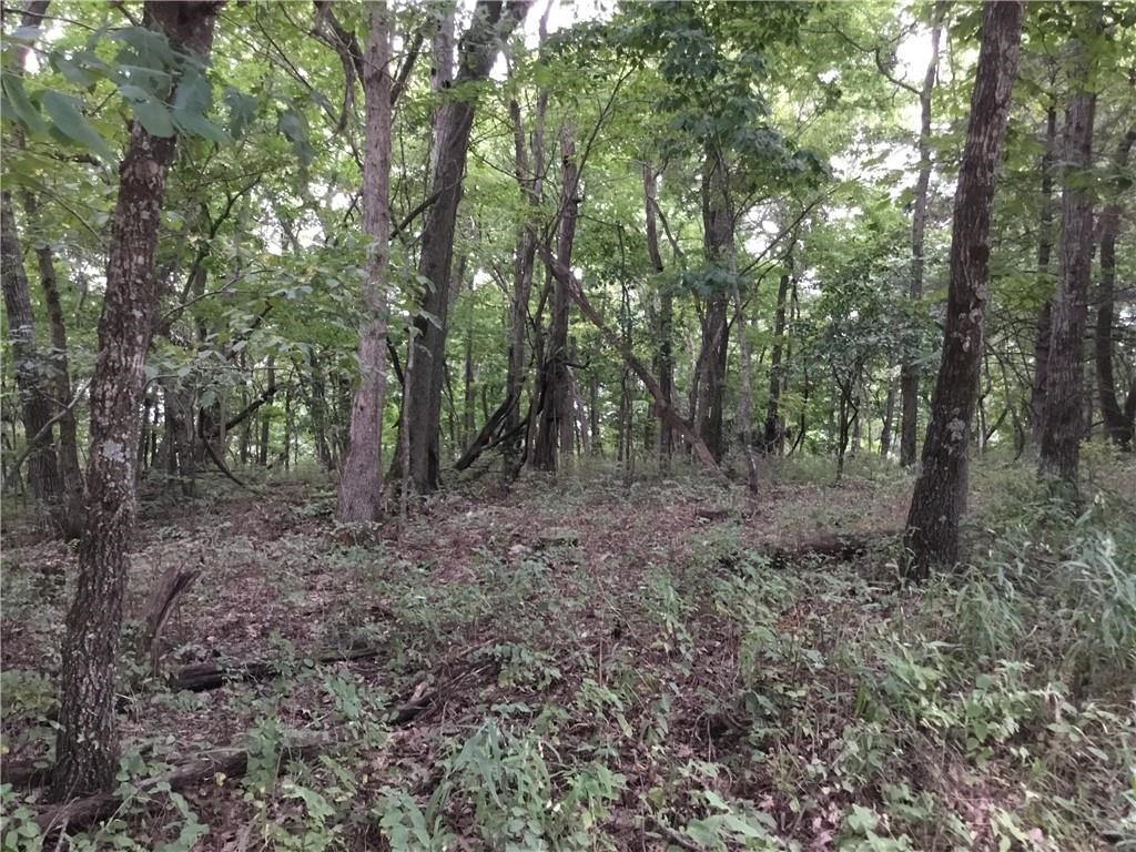 Posy Mountain Ranch Unit 10 Rurban - Land