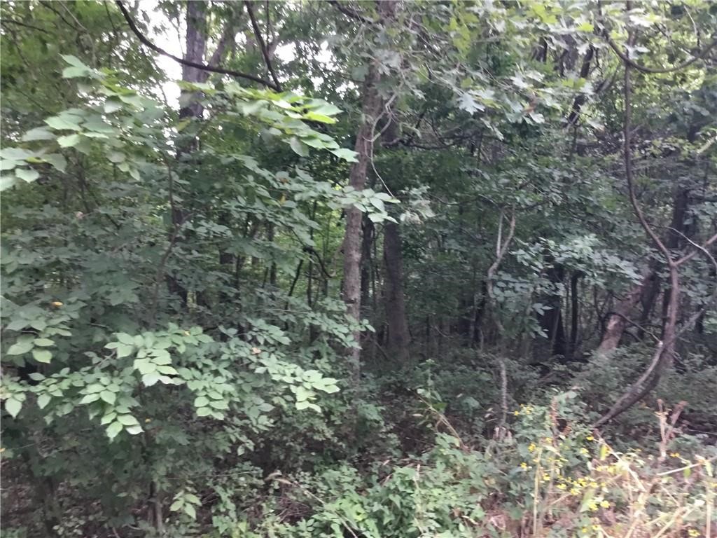 Posy Mountain Ranch Unit 10 Rurban - Land