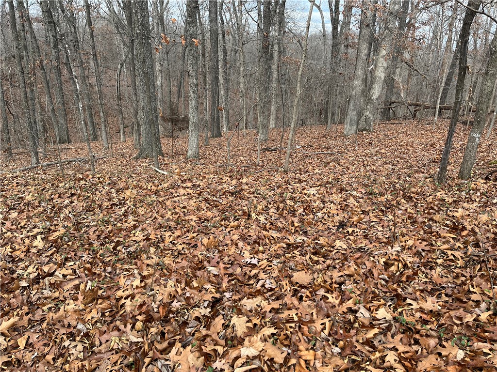 Brunswick Sub Bvv - Land