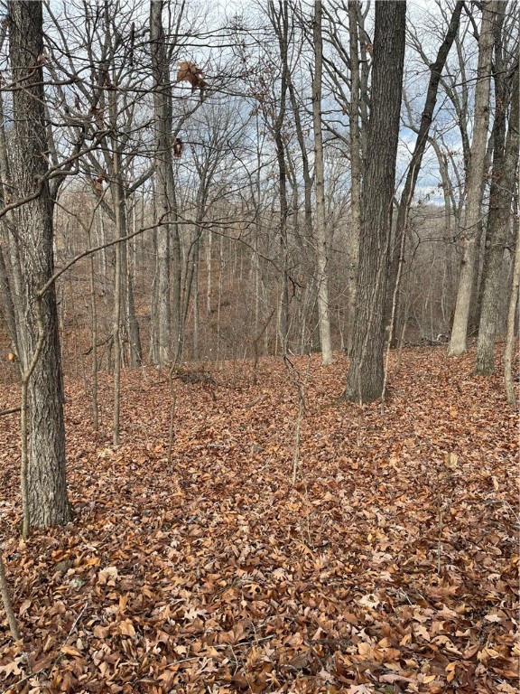 Brunswick Sub Bvv - Land