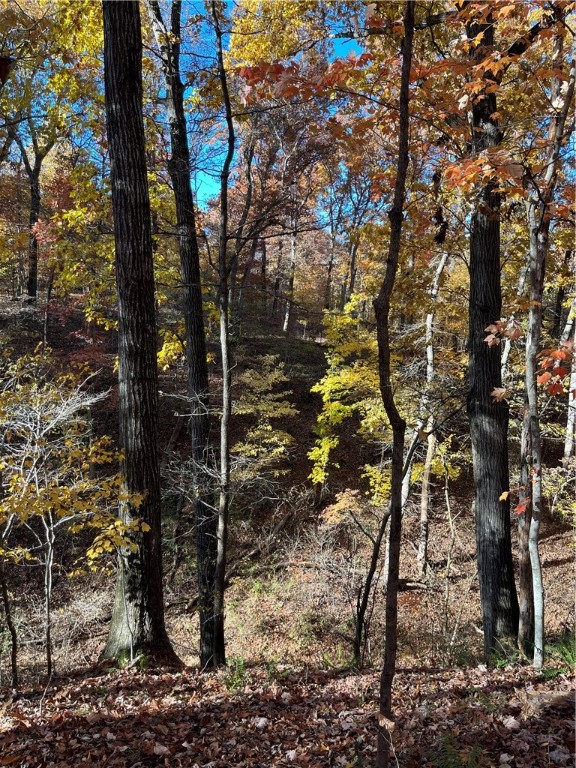 Brunswick Sub Bvv - Land