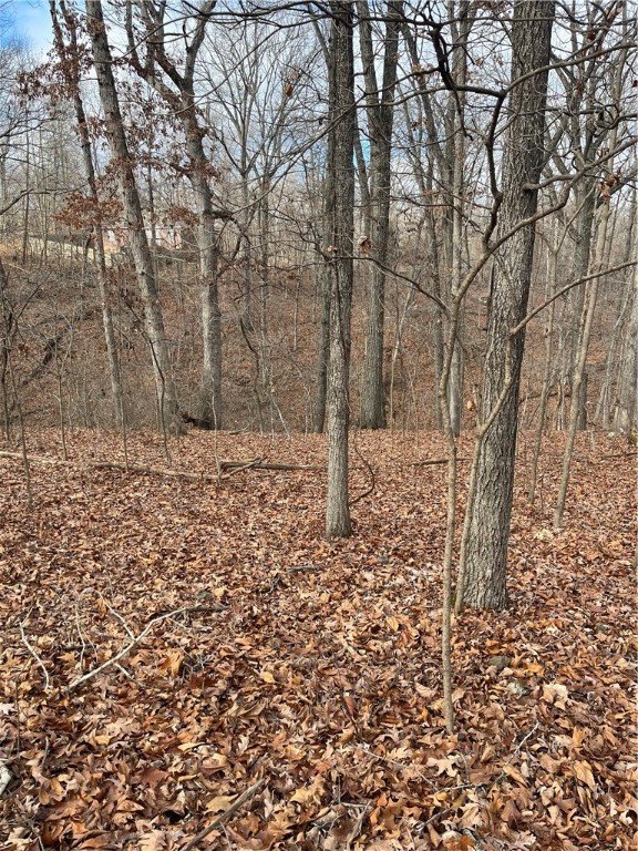 Brunswick Sub Bvv - Land