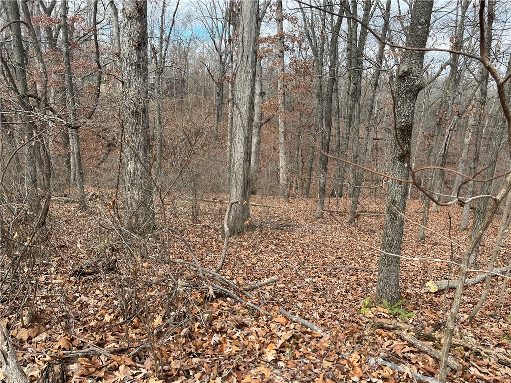 Brunswick Sub Bvv - Land