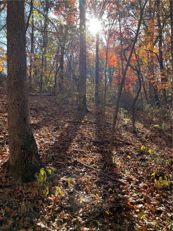 Brunswick Sub Bvv - Land