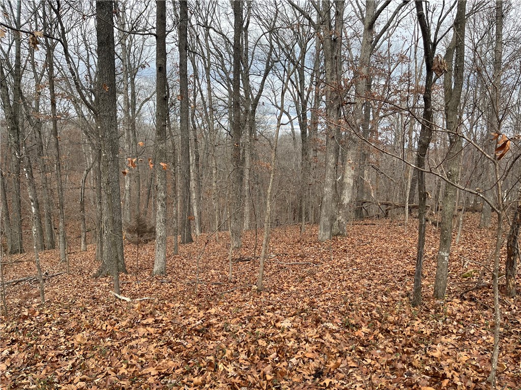 Brunswick Sub Bvv - Land