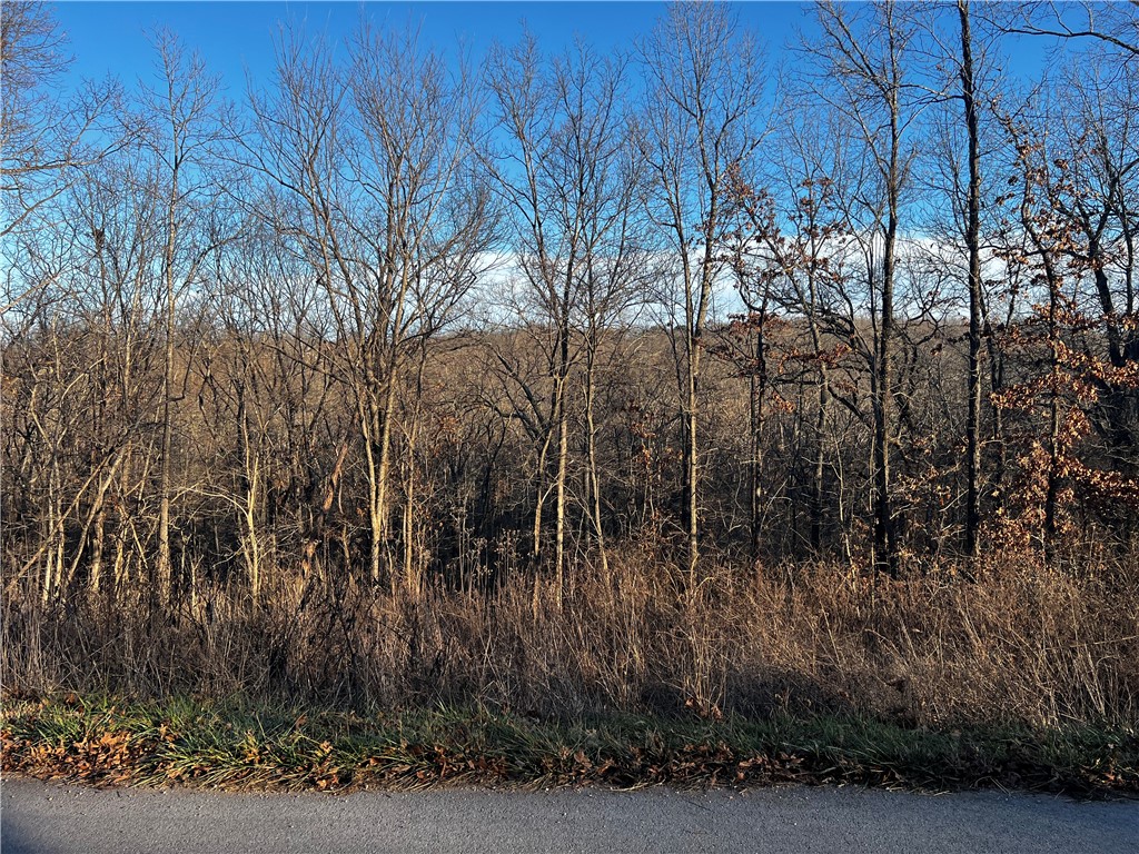 Selkirk Sub Bvv - Land