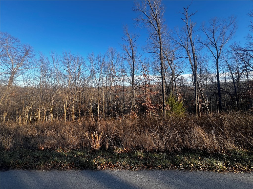 Selkirk Sub Bvv - Land