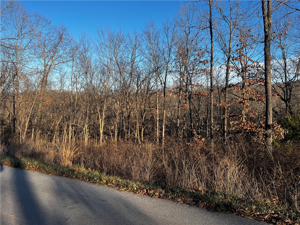 Selkirk Sub Bvv - Land