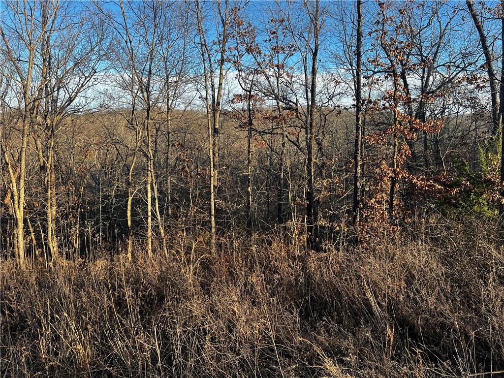 Selkirk Sub Bvv - Land