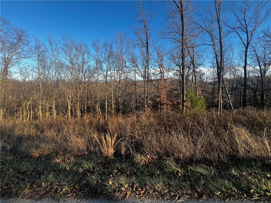 Lake Loch Lomond is nearby, offering the perfect balance of privacy, recreation, and everyday convenience. Build your dream home in one of Bella Vista’s most established lake-area neighborhoods. This vacant residential lot on Selkirk Dr. is just minutes from the Branchwood Recreation Center. Surrounded by mature trees and well-kept homes, the property provides a peaceful setting with easy access to golf, swimming, pickleball, walking trails, and multiple lake access points. Whether you’re planning a full-time residence or a weekend retreat, this location puts you close to everything that makes Bella Vista so desirable. Electric and water are available in the area (buyer to verify), and the lot is ideally positioned for a custom build in a quiet, established neighborhood. Enjoy the Bella Vista lifestyle—lakes, trails, recreation, and nature—right outside your door.