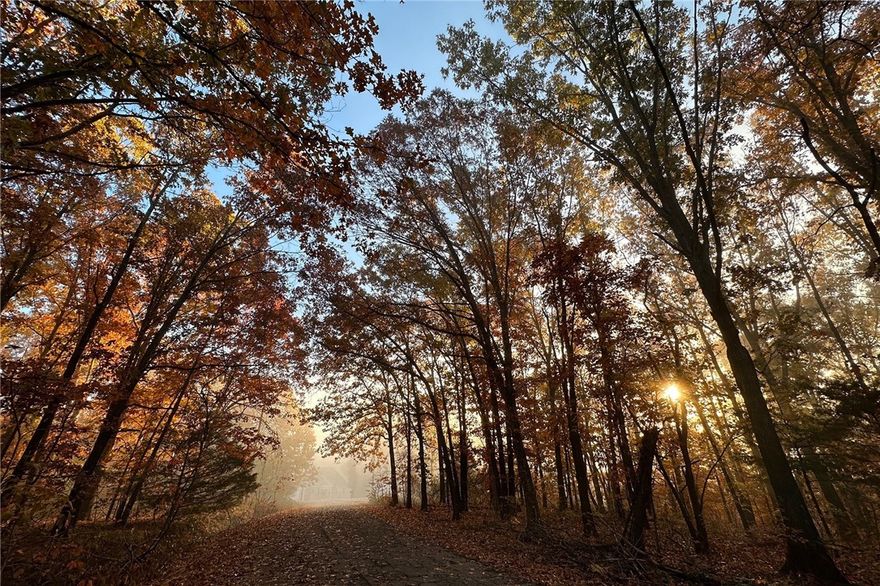 Tucked near the end of a quiet cul-de-sac, this beautiful wooded lot offers the perfect setting to build your next home. Mature trees provide privacy and a peaceful natural backdrop, while the mostly level terrain extends well back from the street before gently sloping away—offering excellent potential for a variety of home designs. Enjoy breathtaking sunrises and sunsets from this serene location. Conveniently situated near many of Bella Vista’s most popular amenities including Highlands Golf Course, Loch Lomond, Tiree Park and boat launch, Branchwood Recreation Center, scenic walking trails, Little Sugar mountain biking trailhead,  Bella Vista Dog Park, and Lakepoint Restaurant. This is a fantastic opportunity to create your own retreat surrounded by nature.