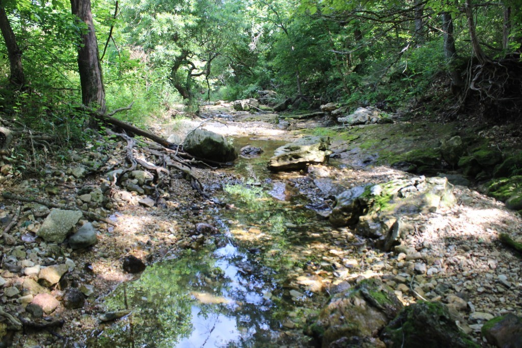 Terrific 33 Acres - Creek - Hilltop - Views - Open & Wooded Land - Just Over A Mile off Hwy 65 Near Omaha!! That's right, just off Hwy 65 near the twin bridges about 2 miles south of the Arkansas-Missouri state line and 16 miles north of Harrison, this 33 acre tract of land has some of everything including a creek and a spring, pasture and wooded land, a hilltop, scenic views, several homesites to choose from and wildlife such as deer, turkey, and more!! The property lays on both sides of Hidden Valley Drive which dead ends a short distance past the property. A well is needed for water supply at this time, Omaha public water line is along Old Cricket Road but no additional meters are available until they obtain funding for additional water supply. See aerial sketch and copy of old survey in Documents. Let's have a look today!!