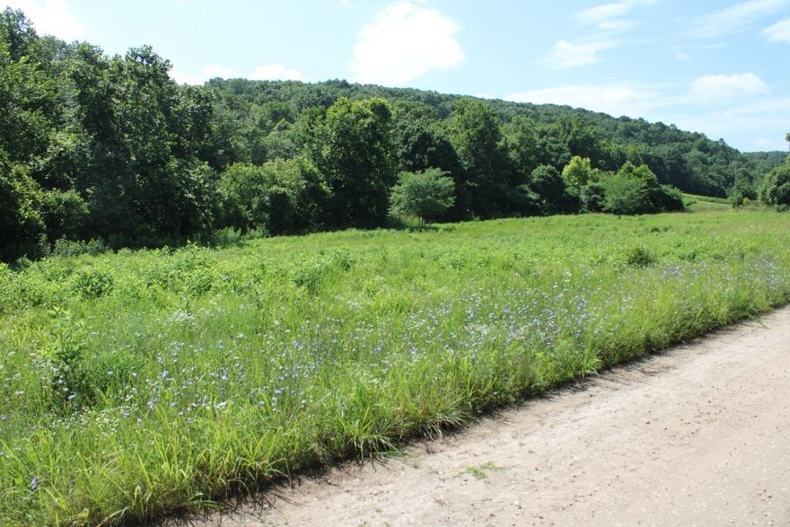Only 2 Miles South of the Missouri - Arkansas Border - 33 Acres - Creek - Hilltop - Views - Open & Wooded Land - Just Over A Mile off US Hwy 65 !! That's right, just off Hwy 65 near the twin bridges about 2 miles south of the Arkansas-Missouri state line and 16 miles north of Harrison, this 33 acre tract of land has some of everything including a creek and a spring, pasture and wooded land, a hilltop, scenic views, several homesites to choose from and wildlife such as deer, turkey, and more!! The property lays on both sides of Hidden Valley Drive which dead ends a short distance past the property. A well is needed for water supply at this time, Omaha public water line is along Old Cricket Road but no additional meters are available until they obtain funding for additional water supply. See aerial sketch and copy of old survey in Documents. Let's have a look today!!