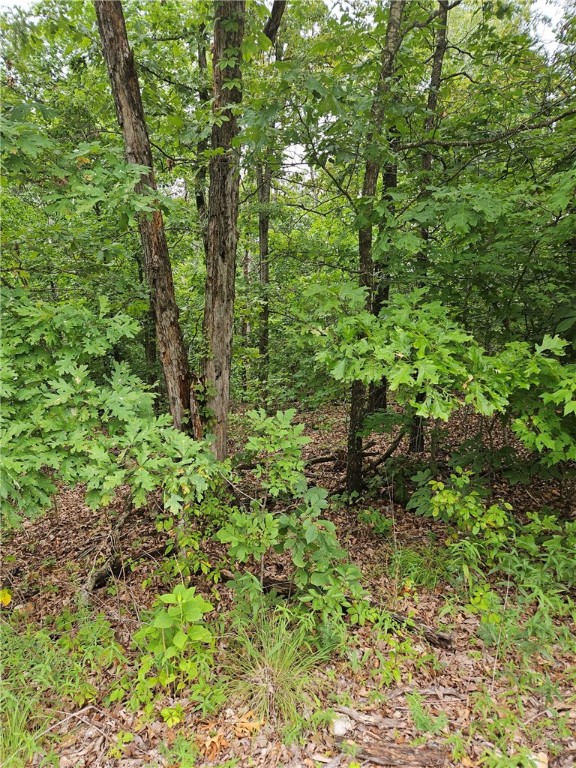 This lot is adjacent to another lot for sale, Lot 6 Patsy Cir, MLS 1281448. Together, they comprise 0.72 acres. Gently sloping at the front. It is near Scotsdale Golf Course. Other lots on that street have been built on so there is confidence that it will perc.