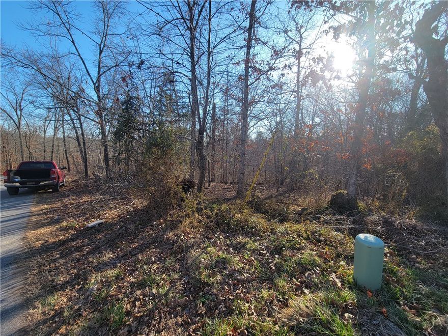 This lot has SEWER access and is located on a cul-de-sac.  It has only a mild slope and is nicely shaped for building a new home.  Bentonville schools.