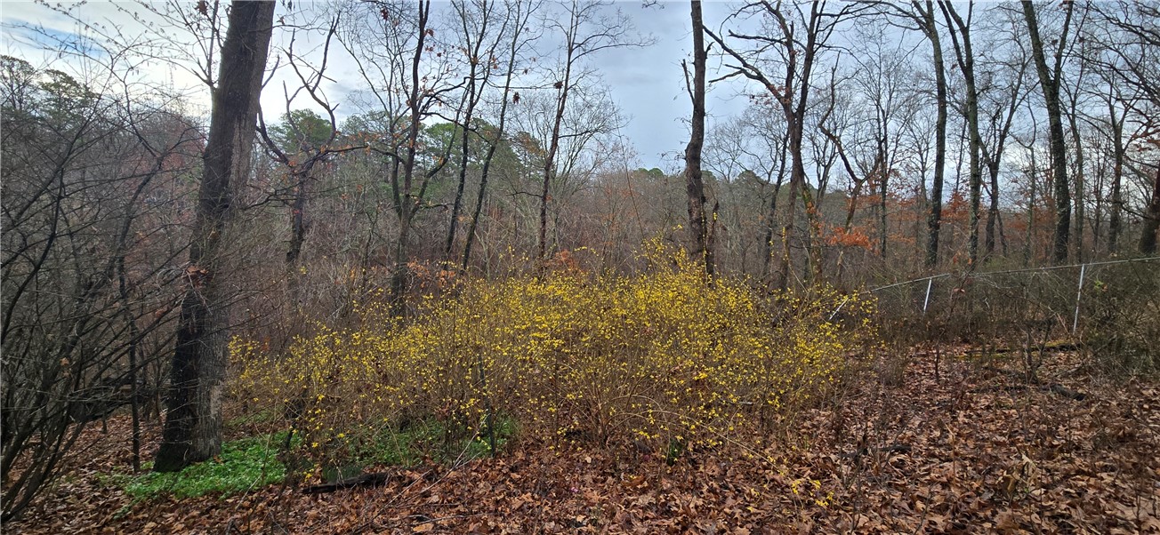 Worcester Sub Bvv - Residential