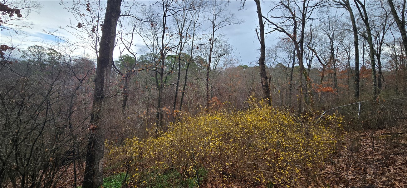 Worcester Sub Bvv - Residential