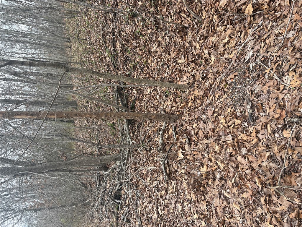 Belgravia Sub Bvv - Land