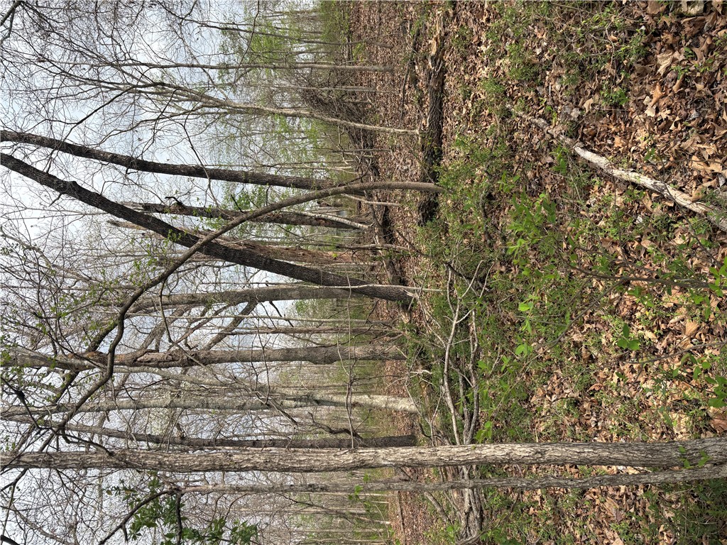 Belgravia Sub Bvv - Land