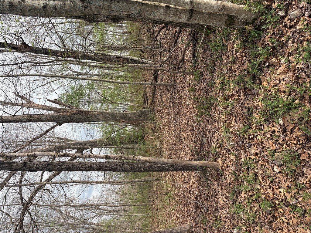 Belgravia Sub Bvv - Land