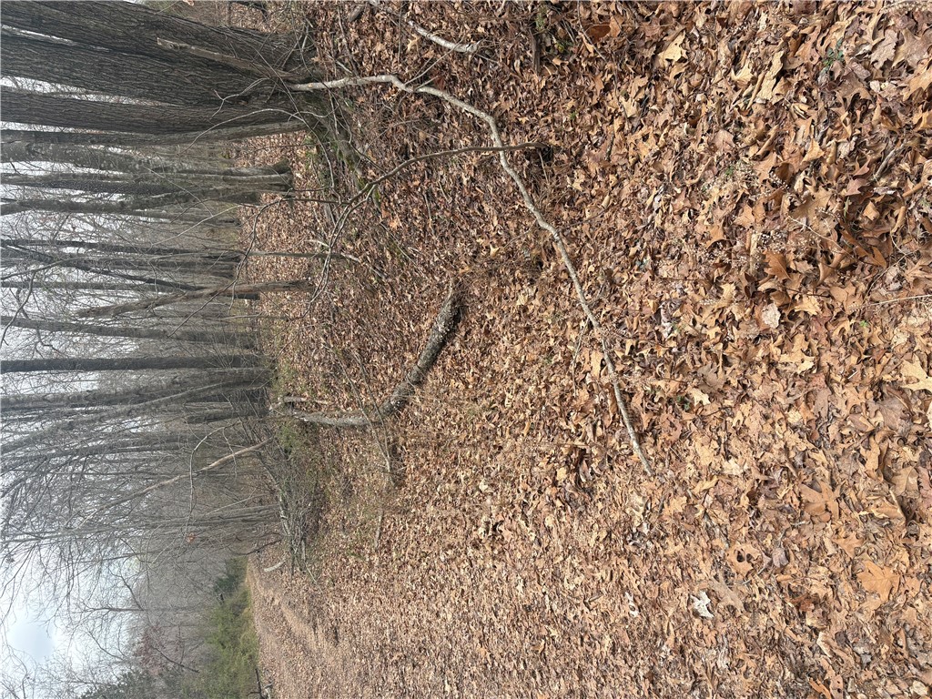 Belgravia Sub Bvv - Land