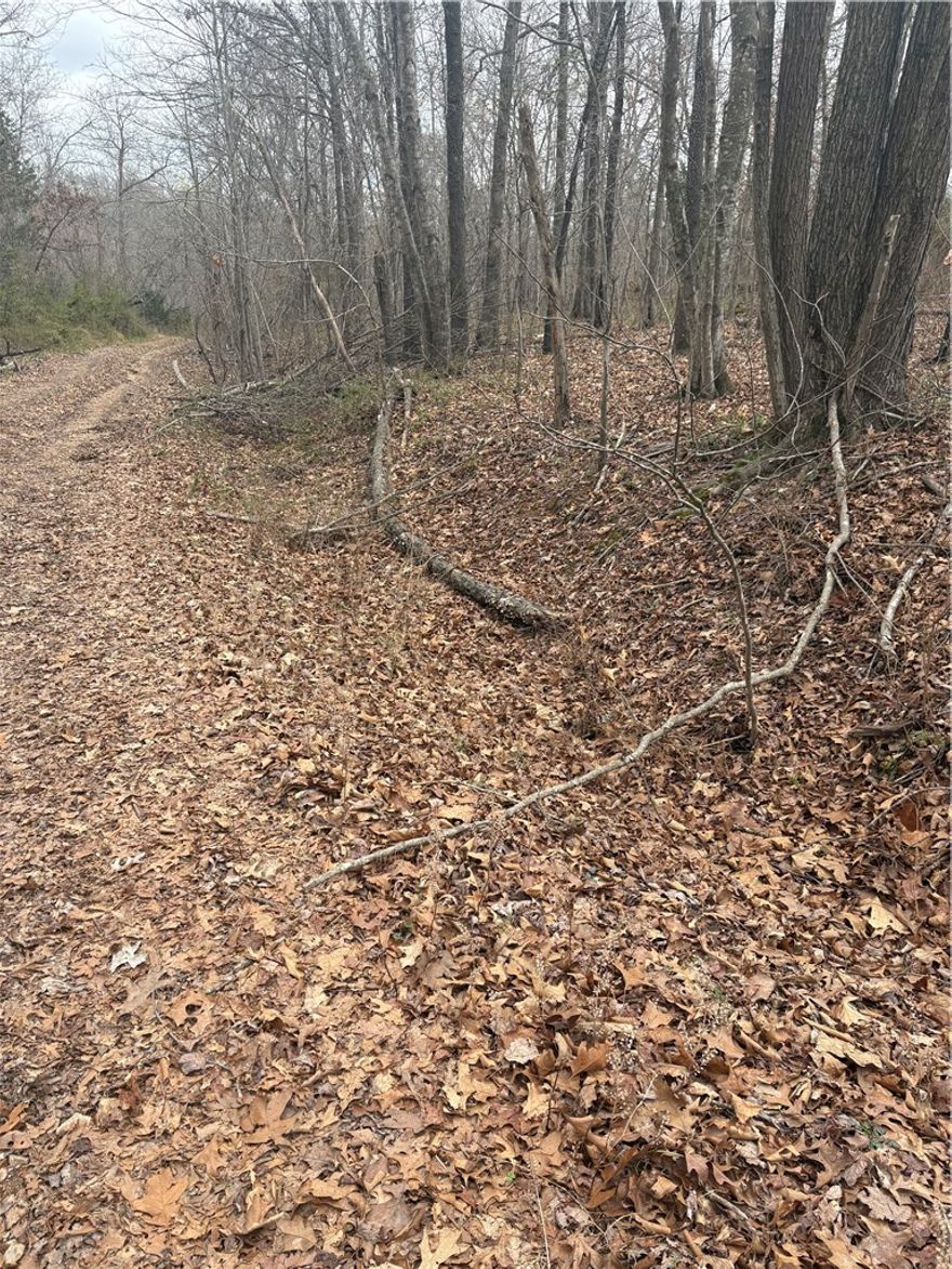 Find this fantastic buildable lot off Belgravia Subdivision and build out of the big city and make the woods your own!  Surrounded by nice houses, natural wildlife and close to Lake Windsor for fishing, hiking and boating!