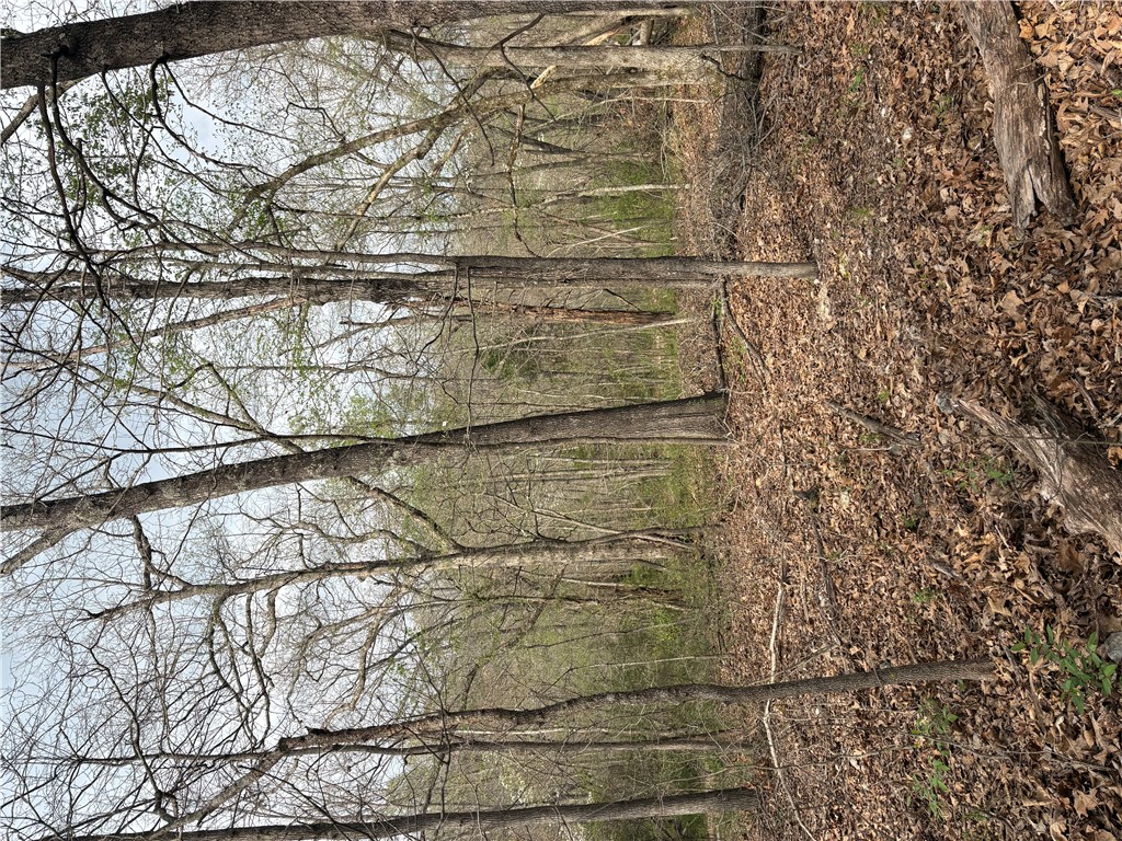 Belgravia Sub Bvv - Land