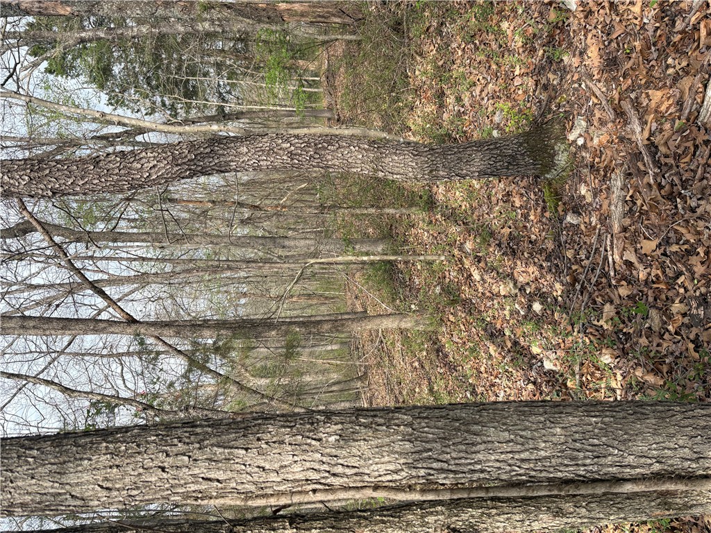 Belgravia Sub Bvv - Land