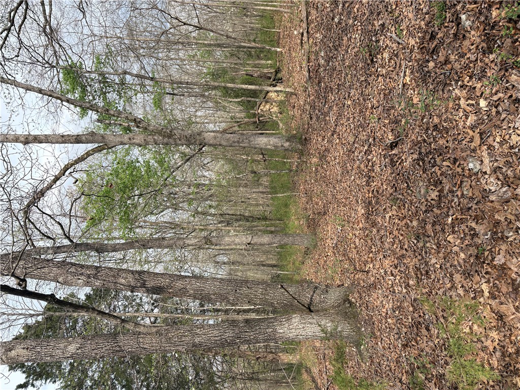 Belgravia Sub Bvv - Land