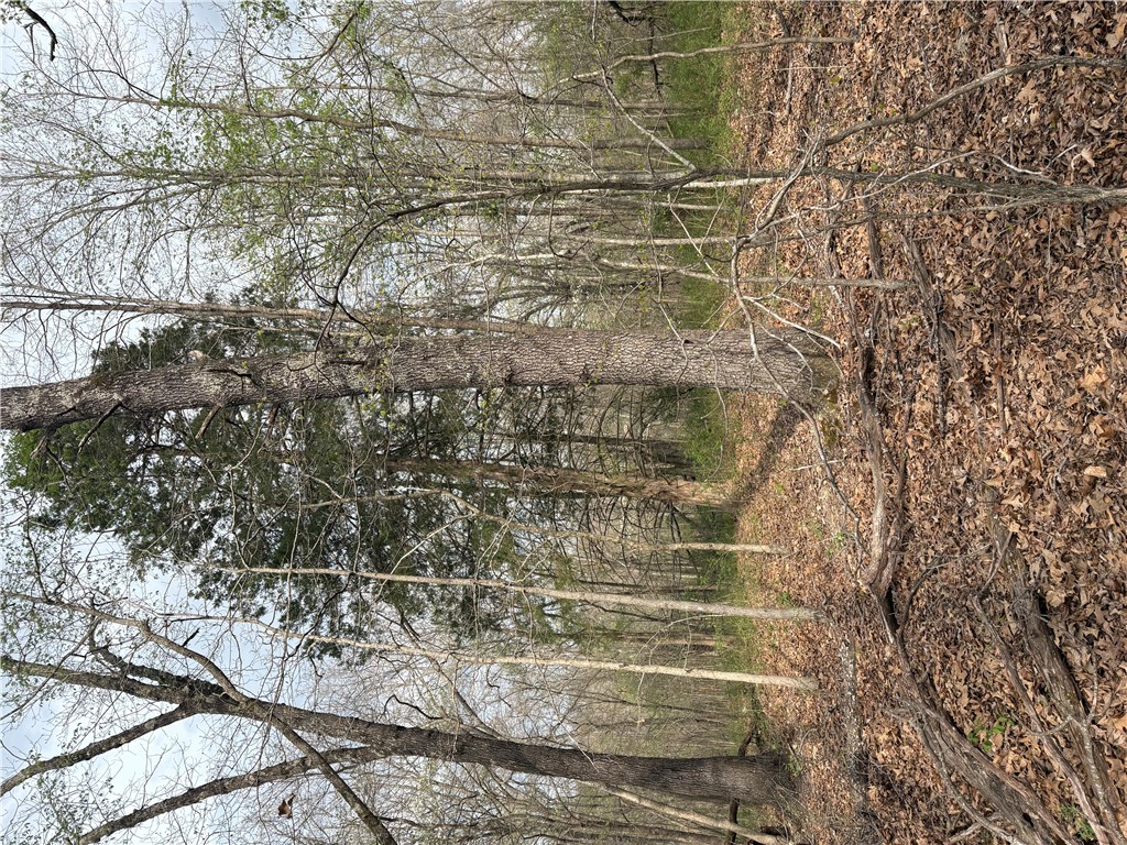 Belgravia Sub Bvv - Land