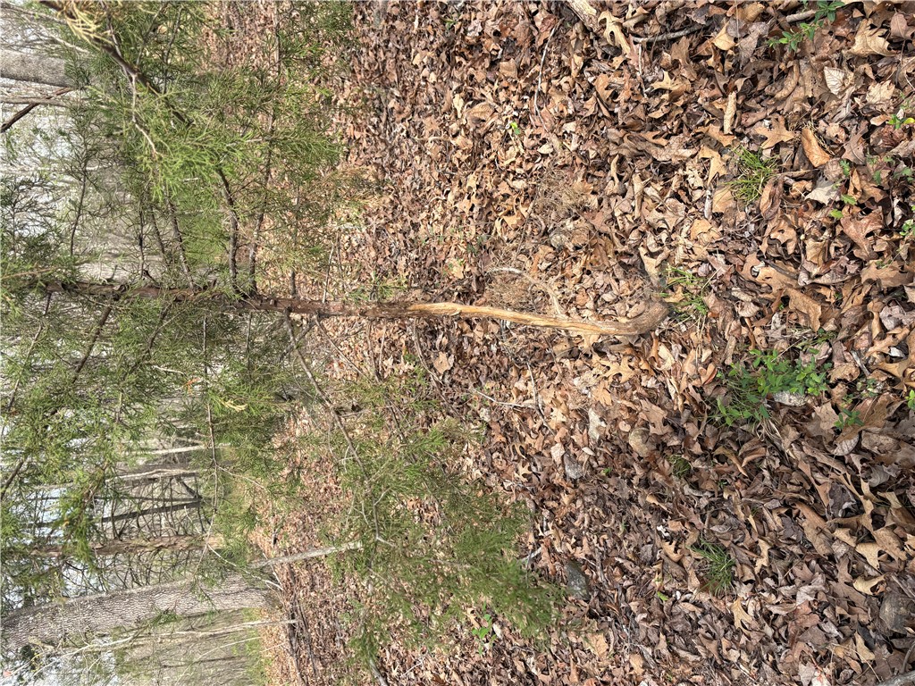 Belgravia Sub Bvv - Land