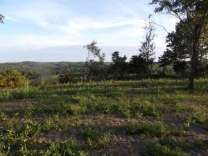 Breathtaking views for miles of the Ozark Mtns from this property that is already cleared & ready for a new home. Electric on site & rural water & phone available. Seller will install new septic at full purchase price!