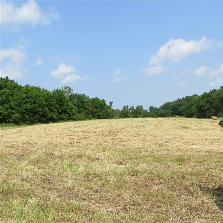 Nice 20 acre track of land pasture and woods Great location to build your dream home or weekend getaway. Can be combine with adjoining 20 acres to create a 40 acre tract. MLS 1114974 is the adjoining parcel.