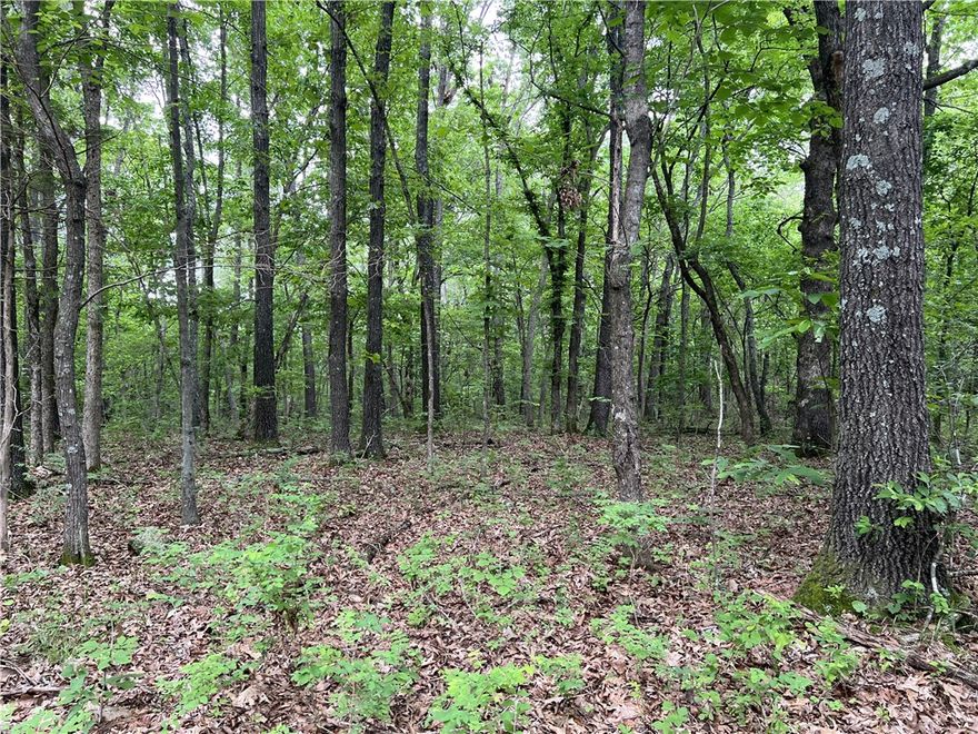 Nice level building site on 12 Acres with large trees and NO Restrictions.  This is must see if you are looking for a pretty wooded spot to build.
