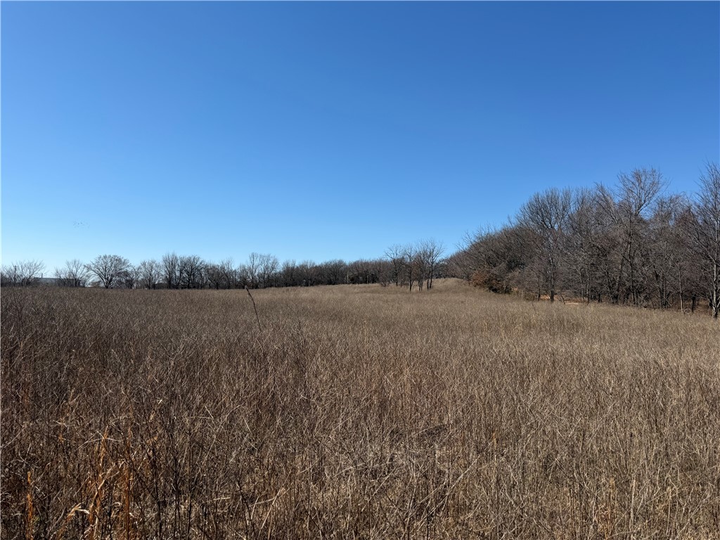 Ozark Orchard Co Sub Rurban - Land