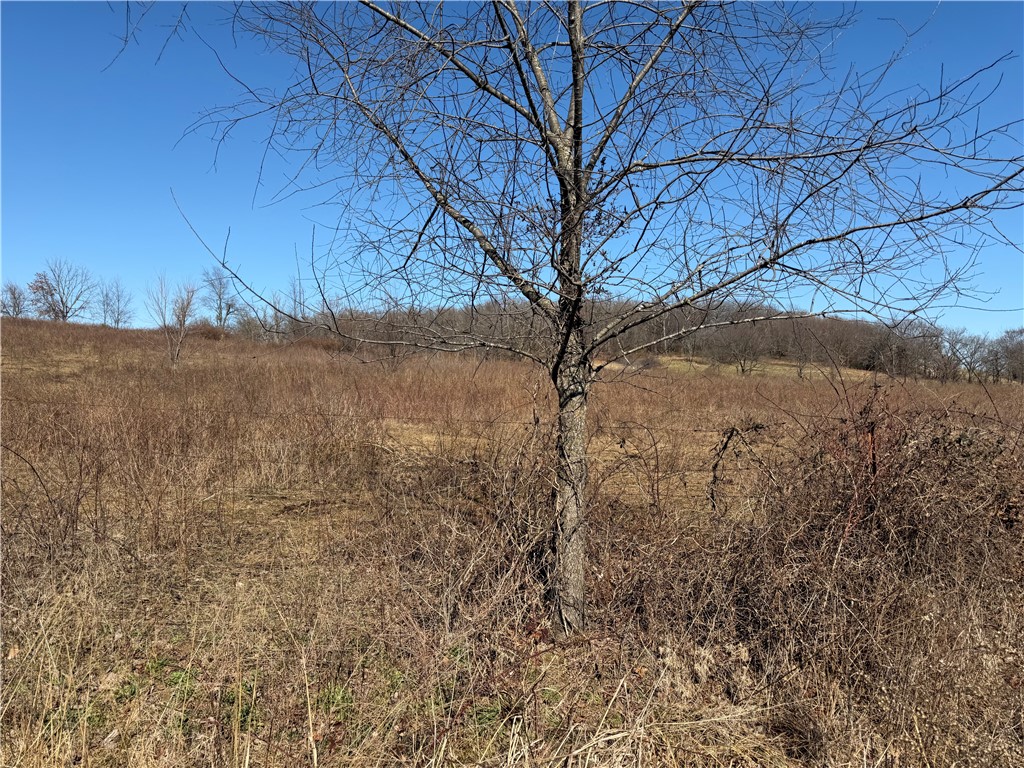 Ozark Orchard Co Sub Rurban - Land