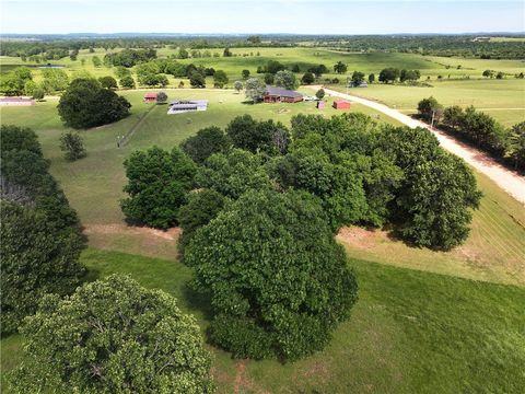 Single Family Residence in Green Forest AR 42 County Road 640 44.jpg