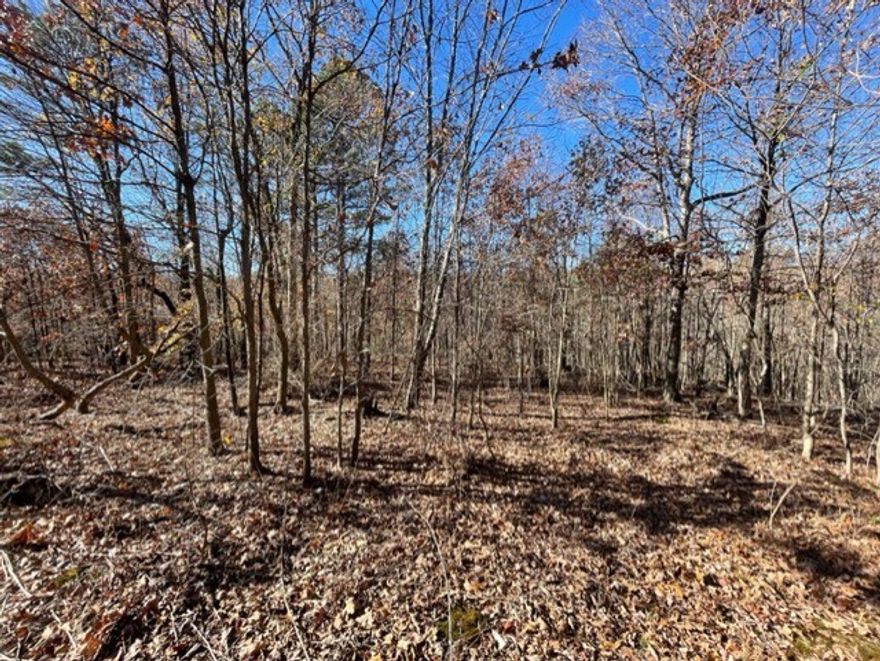 9.67 wooded acres with a year-round spring at the bottom of the ravine.  Several building sites at the beginning of the acreage to build your dream cabin or multiple cabins throughout the acreage.  Mobile homes are allowed.  Electric at the street, rural water-tap is needed.  This acreage is away from the hustle & bustle.  If you are wanting peace and quiet, yet close enough to amenities, come check out this acreage.