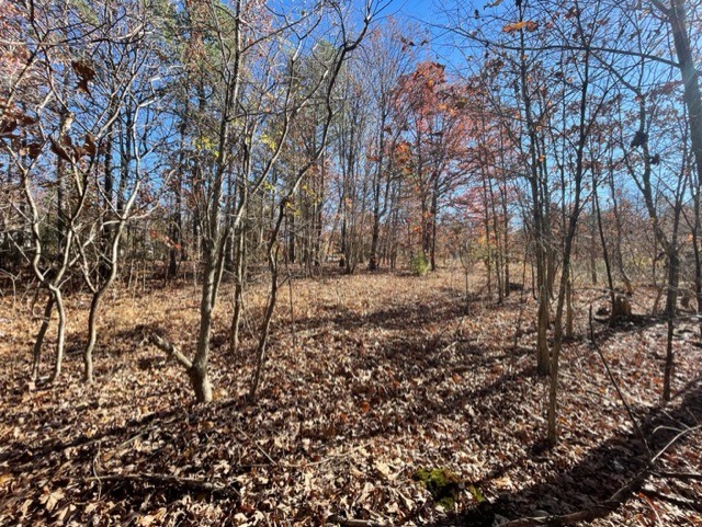 36-20-34 RURAL - Land