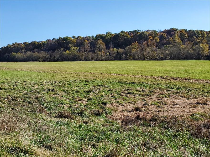 Land of your dreams.  This fantastic piece of property has near a quarter mile of frontage on HWY 244.  There are many buildable spots and excellent views cascading down the rolling hill side to the year round stream.  Also, plenty of pasture land for animals and a chicken house currently being used for hay storage.  At the south end of property, beyond the stream, is a portion of wooded acreage that makes excellent deer hunting enjoyment possible without leaving home. Just imagine, all this on one property. Property includes 2 parcels equaling 79.67 acres.  One parcel #001-13174-003, 39.67 acres and other parcel #001-3196-000 is 40 acres.