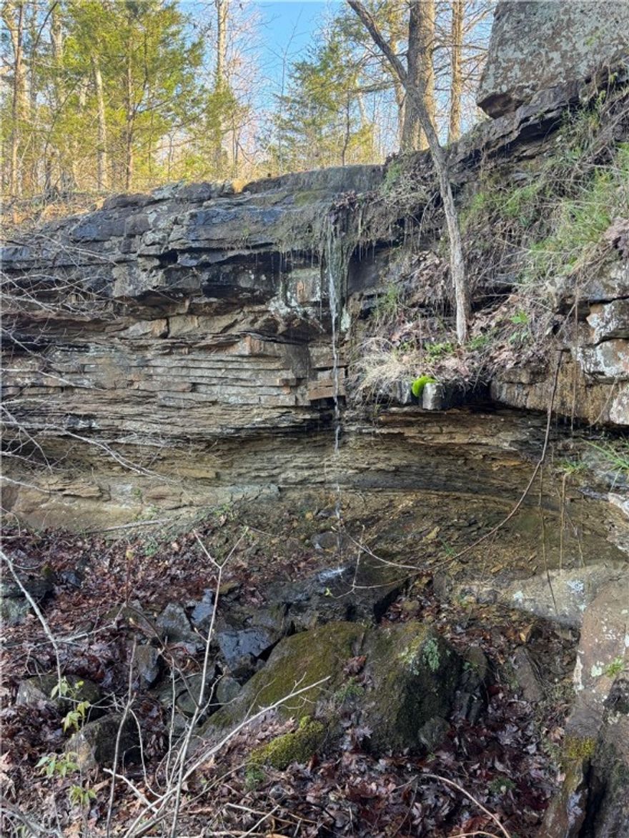 Tucked away just off Hwy 7 South on Mockingbird Hill, this 6+ acre tract offers more than just a great location—it delivers a true experience. A striking rock outcropping with a seasonal waterfall adds a touch of magic, while scenic views, rural water, and electric availability make it ready for your dream build. Only 6 miles from Jasper and close to the Buffalo National River, as well as some of the best hiking and biking trails in Newton County, this property is perfect for a weekend retreat or short-term rental. Come explore all this beautiful tract has to offer!